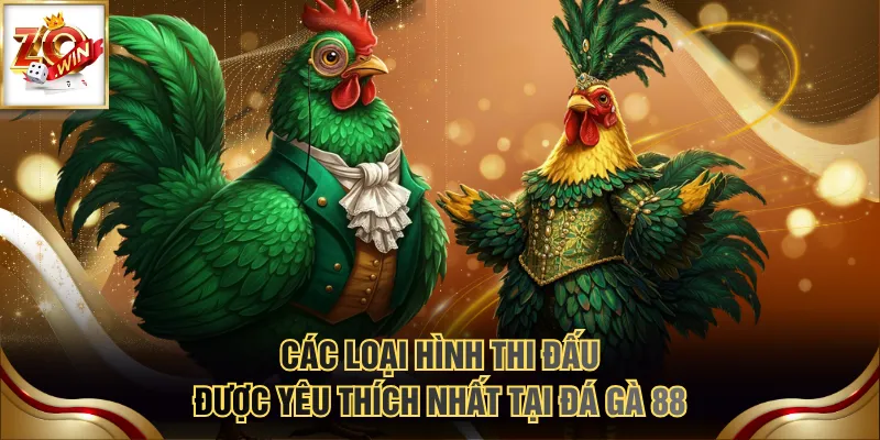 Sảnh Đá Gà 88 & Những Loại Hình Đặt Cược Trực Tuyến Nổi Bật 4 Các loại hình thi đấu được yêu thích nhất tại đá gà 88