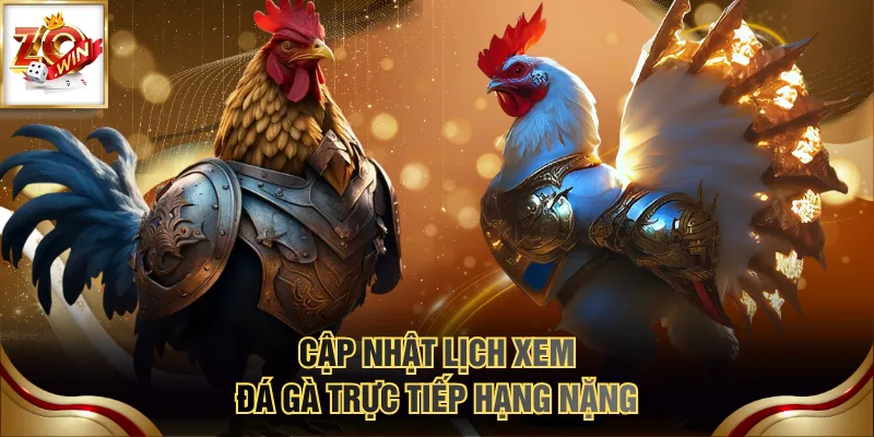 Cập nhật lịch xem đá gà trực tiếp hạng nặng