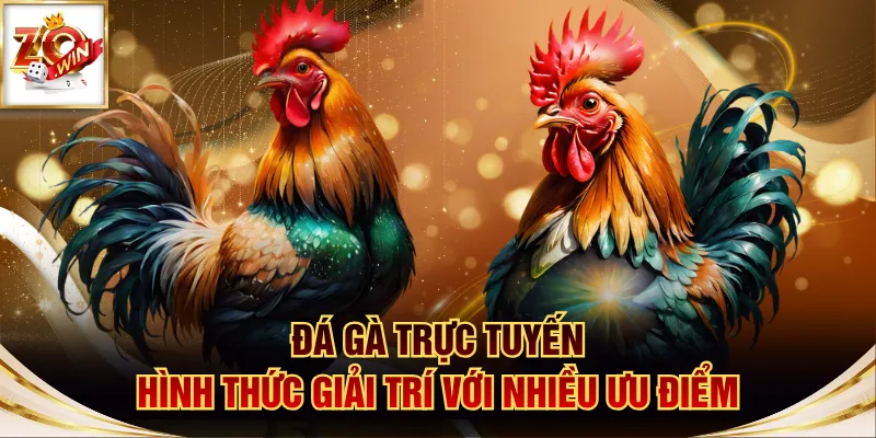 Đá Gà Trực Tuyến - Hình Thức Giải Trí Với Nhiều Ưu Điểm 1 Đá gà trực tuyến