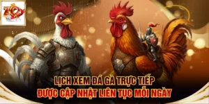 Xem đá gà trực tiếp