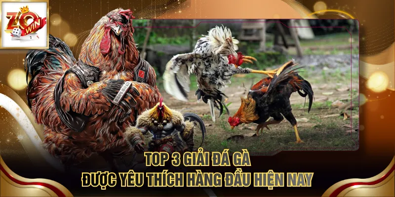 Đá Gà Trực Tuyến - Hình Thức Giải Trí Với Nhiều Ưu Điểm 4 Top 3 giải đá gà được yêu thích hàng đầu hiện nay