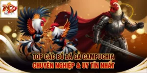 Đá gà Campuchia